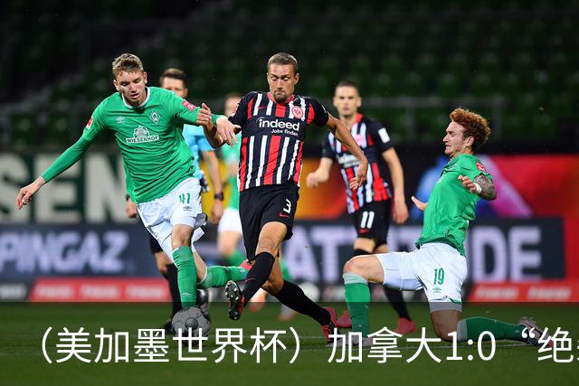（美加墨世界杯）加拿大1:0“绝杀”南非 队史首进16强
